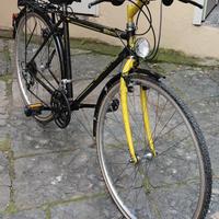 bicicletta spillo bianchi uomo vintage