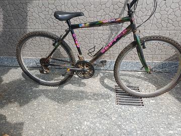 Bicicletta Mountain bike
