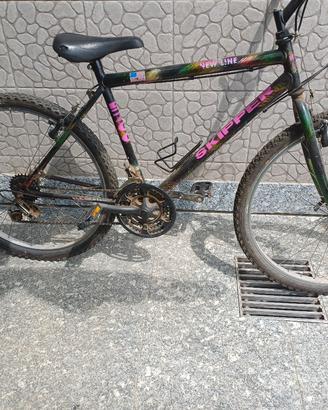 Bicicletta Mountain bike