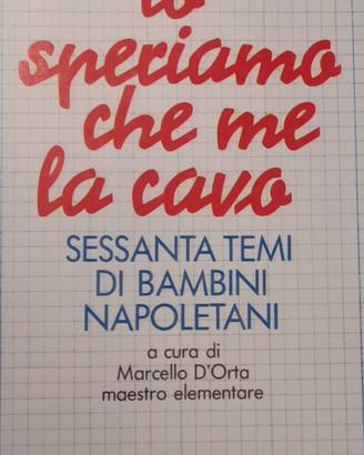 Libro "Io speriamo che me la cavo"