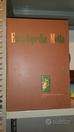 ENCICLOPEDIA F. MOTTA 1955 prima edizione