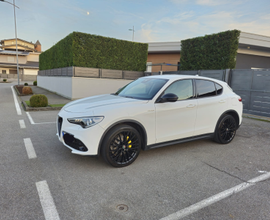 Alfa Romeo Stelvio 2.2 190 CV Q4