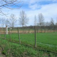 Terreno edificabile divisibile a lotti