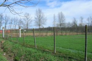 Terreno edificabile divisibile a lotti