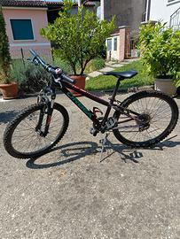 MOUNTAIN BIKE  DA BAMBINA