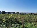 ter-agricolo-a-inarzo