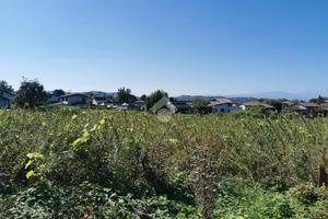 TER. AGRICOLO A INARZO