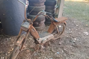 Cimatti Oasi