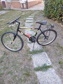 Mountain bike adulto 