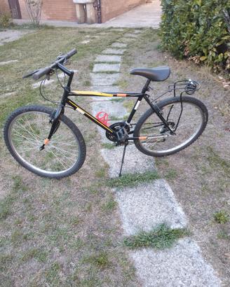 Mountain bike adulto 