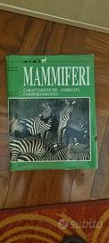 MAMMIFERI CARATTERISTICHE AMBIENTE e COMPORTAMENTO