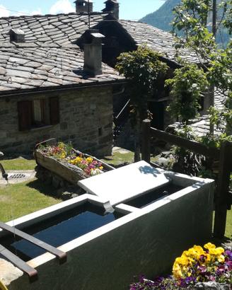 Casetta indipendente tra i boschi di montagna 