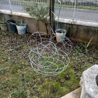 Struttura metallica per piante rampicanti – decora