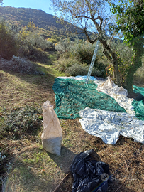 Terreno agricolo 8500mq