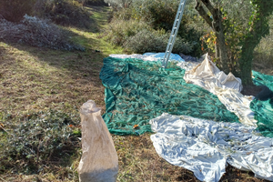 Terreno agricolo 8500mq