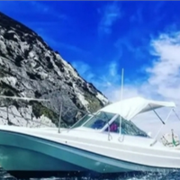Boston Whaler 21 Revenge