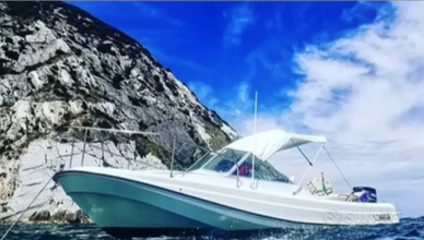 Boston Whaler 21 Revenge