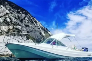 Boston Whaler 21 Revenge