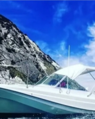 Boston Whaler 21 Revenge