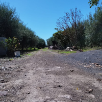Vendita Terreno Agricolo