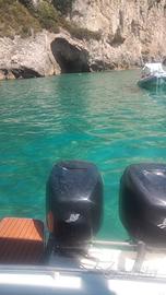 motori mercury 225 for stroke 