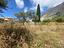 Immagine 9