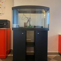 Acquario con mobiletto