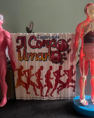 Esplorando il corpo umano - 1^ ed. italiana - 1985