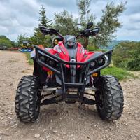 Can-Am Altro modello - 2009