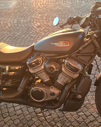 Nightster Special 975