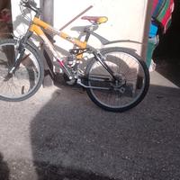 bicicletta 