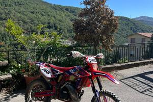 Beta rr 2013