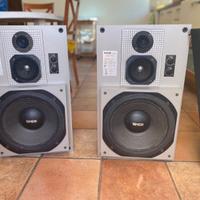 Casse acustiche TENSAI   TSL - 100