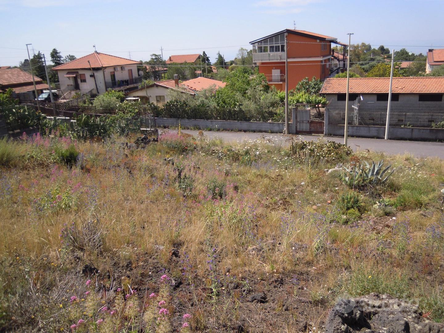 Terreno 3.000 mq zona C con prospetto strada - Vista 5