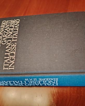 dizionario garzanti 
