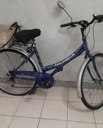 Bicicletta 