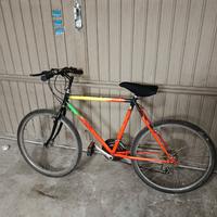 bicicletta raggio 26 