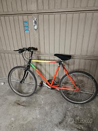 bicicletta raggio 26 