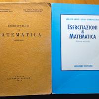 Esercitazioni di Matematica 1+2 -Greco/Stampacchia