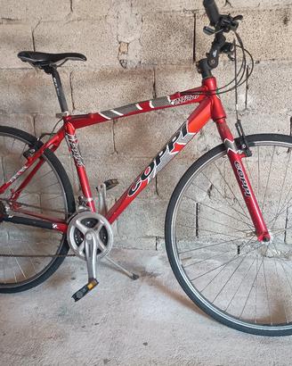 bici da passeggio 