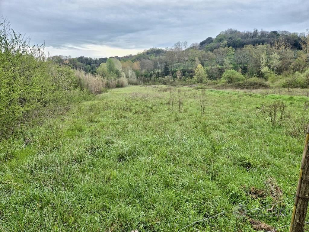 Terreno di 22000 m² a Casciana Terme Lari - Vista 4