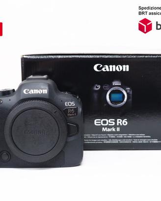 Canon R6 Mark II.
