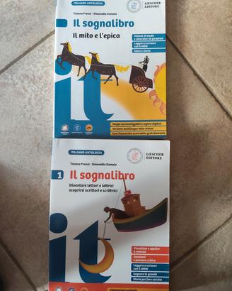 Il sognalibro 1   9788858357002 e 033