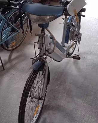 Bici elettrica Scipioni Ecologic