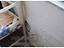 Immagine 29