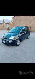 Fiat Panda 1.2 benzina GPL 78 mila km 2023 prov no