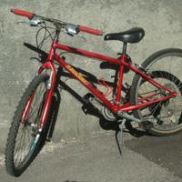 Bici Moser