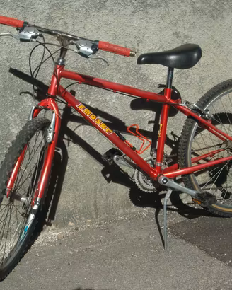 Bici Moser