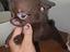 Immagine 1