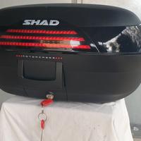 BAULETTO MOTO SHAD